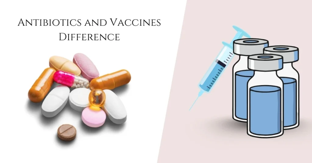 Antibiotics and Vaccines Difference