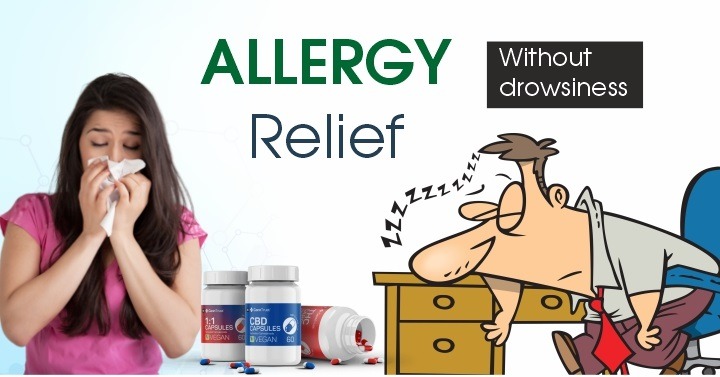 Allergy Medicines That Don't Cause Drowsiness